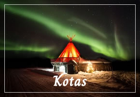 Kotas